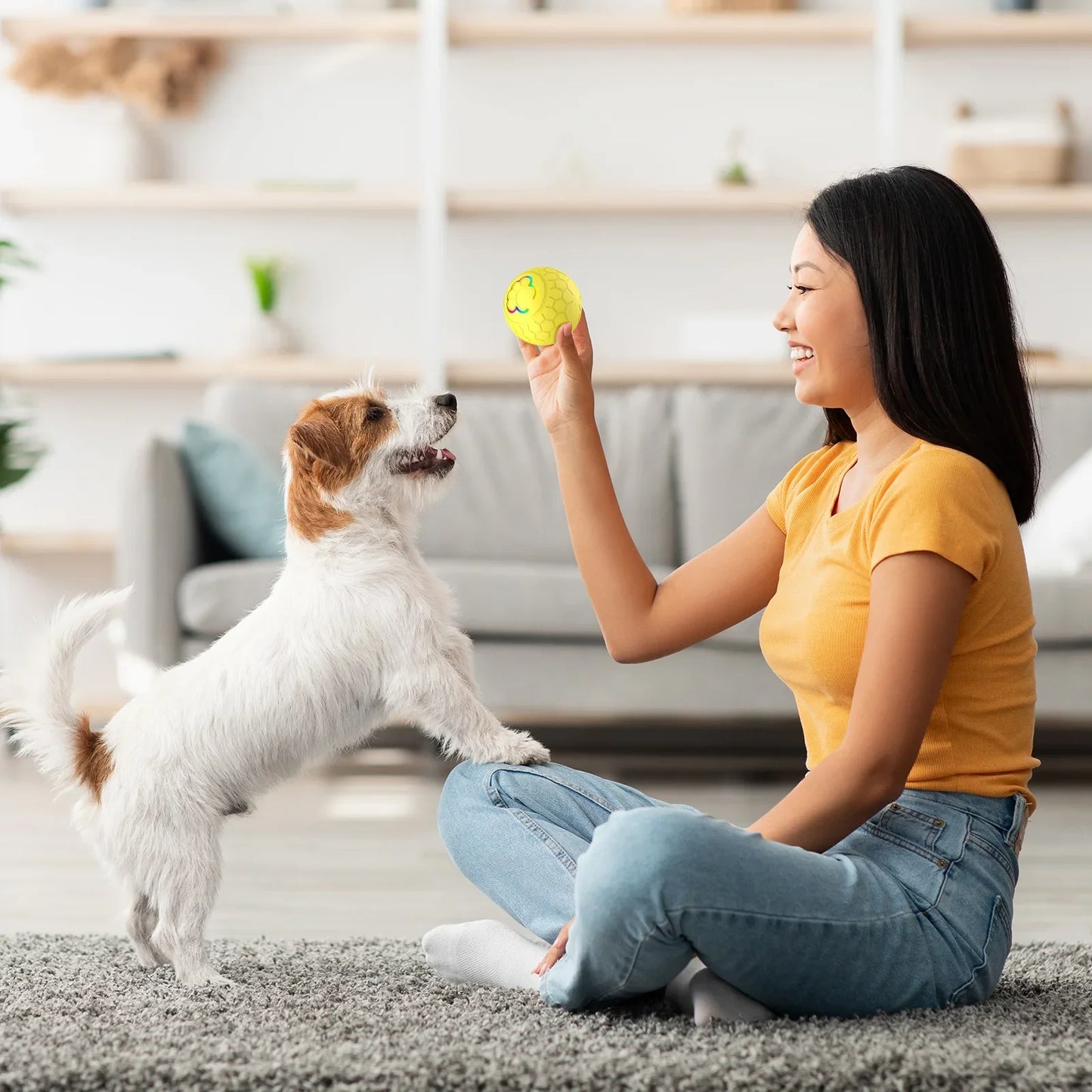Gravity Ball - Bola Interativa Para Cães